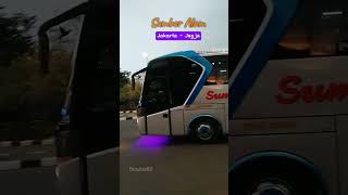 Gercep Bus bus sumberalam automobile busmania basuri akap fyp viralvideo [upl. by Fish]