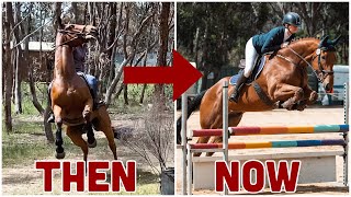 FROM RACEHORSE TO RIDING HORSE  Rockys 1 year progress  The good the bad the very ugly [upl. by Ettari]