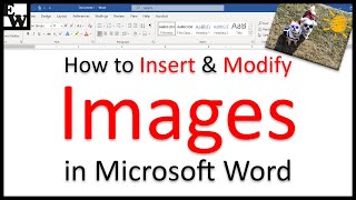 How to Insert and Modify Images in Microsoft Word [upl. by Lyrehs]