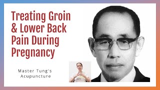 Treating Lower Back amp Groin Pain During Pregnancy [upl. by Gnilrad138]