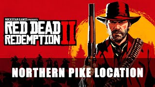 Red Dead Redemption 2 Northern Pike Location [upl. by Anida]