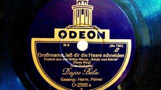 Dajos Bela  Hermann Feiner  Großmama laß dir die Haare schneiden  Foxtrot Sept 1928 [upl. by Riaj]