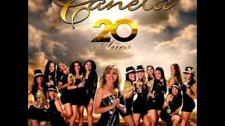 ORQUESTA CANELA CONTAMINAME [upl. by Sasnett]