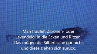 Omas Haushaltstipp gegen Silberfische [upl. by Akyre]