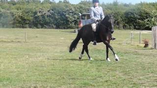 Mia amp Saff  Riding Horse Class [upl. by Leuas]