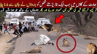 Namaz Ke Doran Sher Aya To Phr Kya Hua [upl. by Atiuqnahs]