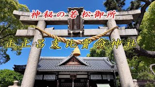 【パワースポット遠隔参拝シリーズ】神秘の若松御所 止止呂支比賣命神社 [upl. by Virgie656]