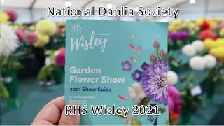 RHS Wisley Flower Show  National Dahlia Society Displays 2021 [upl. by Spratt767]