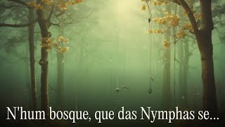 Luís de Camões  Sonetos  XX  Nhum bosque que das Nymphas se habitava [upl. by Benn]