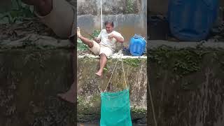 tiket sultan go dolanan shorts shortvideo mancing mancingbawal fishing kangimamtukangmancing [upl. by Acilef]