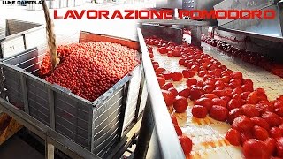 VirtualTour Lavorazione Pomodoro in Industria  Processing Tomato Industry [upl. by Malinowski]