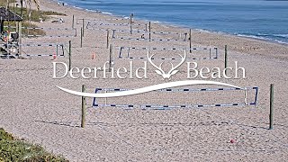 Live  Sport Camera  Deerfield Beach Florida USA [upl. by Eanaj25]