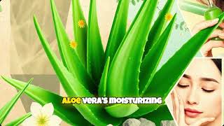 Aloe Vera Is It Really Good for Sensitive Skin [upl. by Nadean]