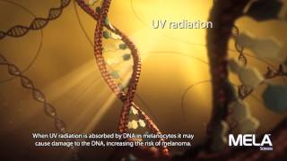 From Melanocyte to Melanoma [upl. by Yssor916]