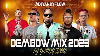 Dembow Mix 2023 Vol9 DJYANDY flow [upl. by Wheaton573]