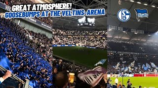 Incredible Moments in Schalke 04 Home Match Against Hertha Berlin at VeltinsArena [upl. by Rehpotirhc]