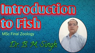 Introduction to Fish [upl. by Ellora]