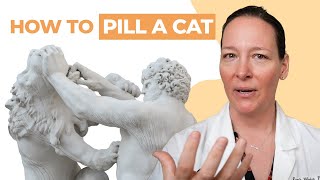 How to Give a Cat a Pill  3 VetApproved Methods [upl. by Ravid188]