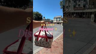 DISNEY HACK 🤪 SAVE on snacks SPEND on merch disneyfoodies disneyland comewithme [upl. by Thadeus]