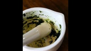 Plantain POULTICE recipe  How to make an herbal compress  DIY plantain recipe herbalmedicine [upl. by Cl]