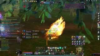 Aion 402  Templar PVP [upl. by Eetsirk640]