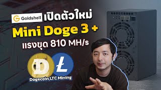 Goldshell เปิดตัว Mini Doge 3 ขุดเหรีญ Doge LTC แรง เสียงเบา built in psu [upl. by Waldman914]