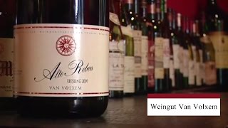 Weingut Van Volxem [upl. by Alyl]