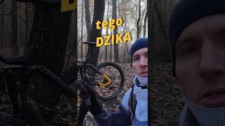 Recenzja  Rower Elektryczny HAIBIKE NDURO 6 [upl. by Ader]