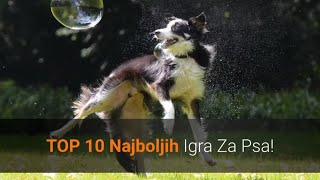 🐕 Igre Za Pse – Top 10 Najboljih Igra Za Psa Koje Ga Čine Sretnijim [upl. by Novihs]