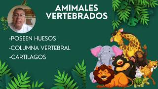 Animales vertebrados e invertebrados [upl. by Downe]