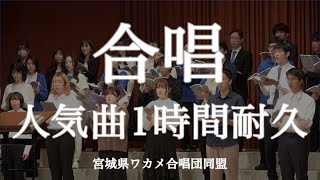 【作業用BGM】合唱人気曲まとめ歌詞付きメドレー1時間耐久定番曲 presented by ワカメ合唱団同盟 （Meet Up Chorus Fesより） [upl. by Yerxa]