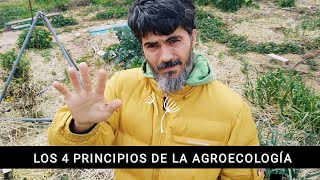 Los 4 principios de la agroecología [upl. by Yorztif952]