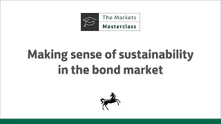 Making sense of sustainability in the bond market [upl. by Akira]