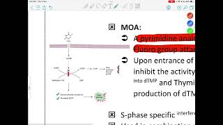 PHARMACOLOGY  LEC6  ANTINEOPLASTIC AGENTS 2  Mohammad A Itradat [upl. by Huxham968]