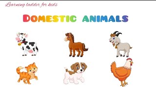 Domestic animals name in english Pronunciation for kids [upl. by Durst395]