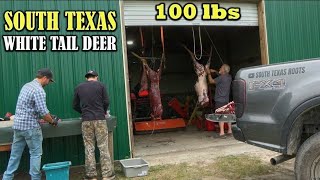 Did We Fill The Freezer Harvesting White Tailed Deer amp Wild Pig [upl. by Feltie]