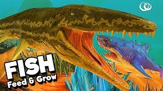 Feed and Grow Fish Gameplay German  Prognathodon Vs Megalodon [upl. by Asirehc]