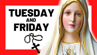 THE SORROWFUL MYSTERIES TODAY HOLY ROSARY TUESDAY amp FRIDAY  THE HOLY ROSARY TUESDAY amp FRIDAY [upl. by Eicnahc]