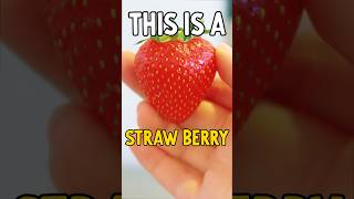 DEseeding a Strawberry RESULTS ARE SHOCKING naznorris norrisnuts [upl. by Harden571]