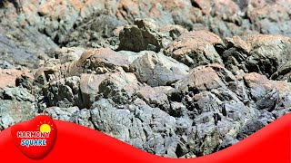 Rock and the Rock Cycle  More Grades 912 Science on the Learning Videos Channel [upl. by Lemert]