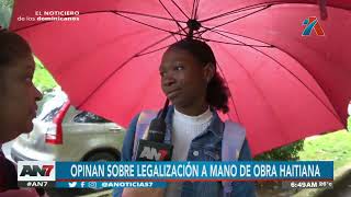 Legalización de mano de obra haitiana genera debate [upl. by Rediah3]