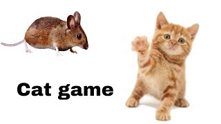 Rat on the screen to make fun with cat  cat games [upl. by Dnaleel]