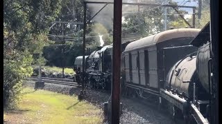 Australian Trains Steam Loco 6029 in the Blue Mountains Pt 2 [upl. by Evot582]