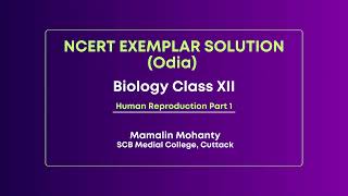 Mamalin Mohanty NCERT Exemplar Solution OR Biology XII Ch 3 Human Reproduction Part1 [upl. by Yoshi]