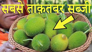 कंटोला की सब्जी खाने से ख़त्म होते हैं ८ भयंकर रोग  Kantola sabji ke fayde [upl. by Chemosh]