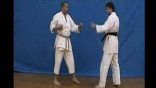 Heian Shodan Kata Applications [upl. by Mulvihill]