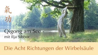 Qigong  Acht Richtungen der Wirbelsäule [upl. by Reibaj]