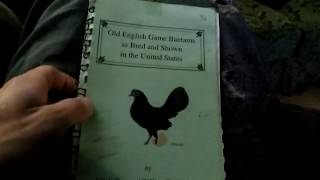 Book Review Old English Game Bantams as Bred and Shown in the United States [upl. by Devora901]