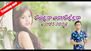 Ridena Noriddana  රිදෙන නොරිද්දන Cover song SankaDinethOfficial [upl. by Zelten]