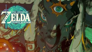 Der VERSIEGELUNGSKRIEG  The Legend of Zelda Tears of the Kingdom Lets Play DEGER 33 [upl. by Stoughton]